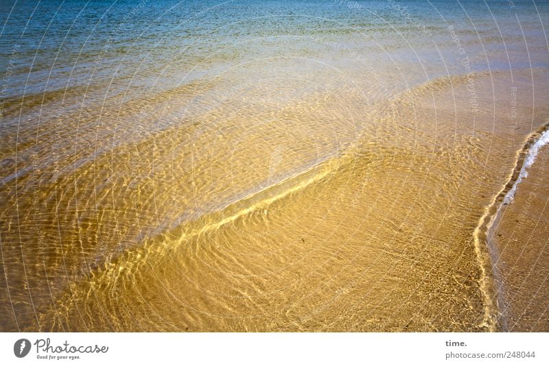 Lebenslinien #30 Glück Zufriedenheit Ferien & Urlaub & Reisen Meer Wellen Umwelt Landschaft Urelemente Sand Wasser Küste Nordsee glänzend nass blau gelb grün
