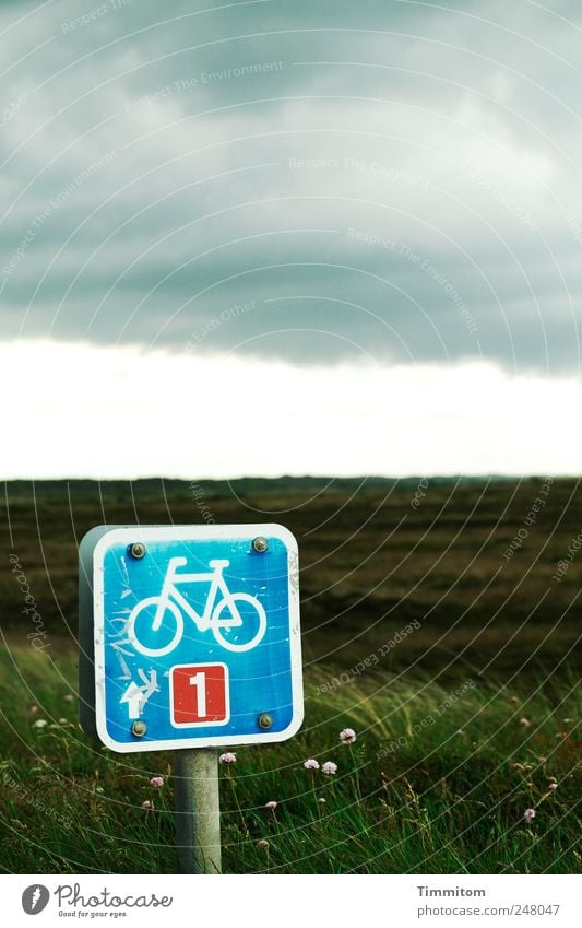 Die Tagesaufgabe Freizeit & Hobby Ferien & Urlaub & Reisen Fahrradtour Sommer Natur Landschaft Wolken schlechtes Wetter Gras Nordsee Dänemark Metall Zeichen