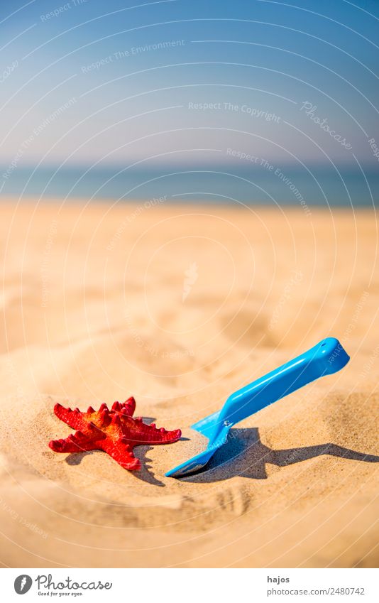 Schaufel und Seestern am Strand Freude Erholung Ferien & Urlaub & Reisen Sommer Kind Sand gelb Tourismus blau rot Meer Himmel Sommerferien