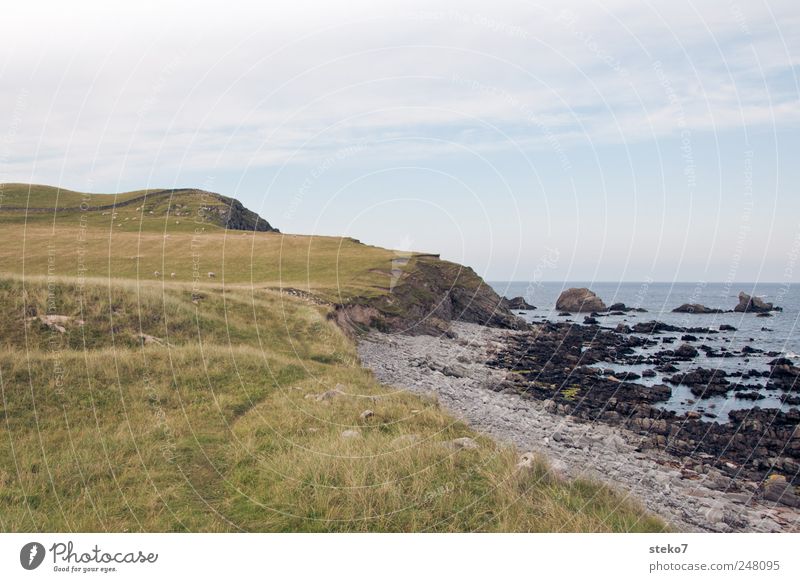 schottische Badelandschaft Sommer Schönes Wetter Wiese Hügel Küste Strand Bucht Meer blau grün Schottland Felsen Farbfoto Außenaufnahme Menschenleer