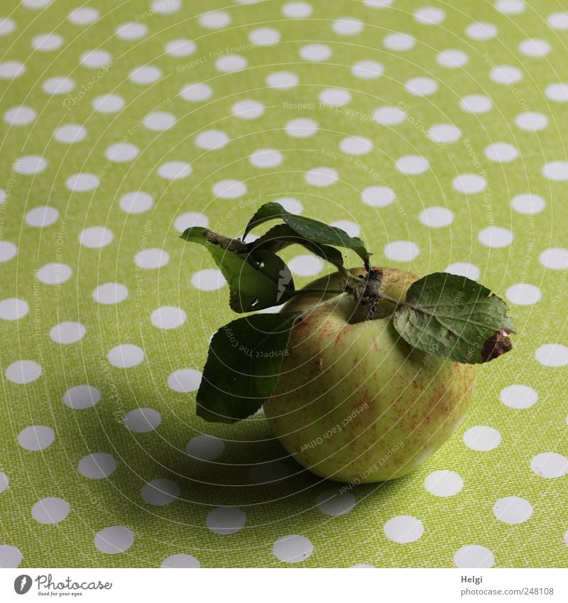 frisch geernteter Apfel mit Blättern liegt auf einem Tisch mit grüner Tischdecke und weißen Punkten Lebensmittel Frucht Ernährung Bioprodukte
