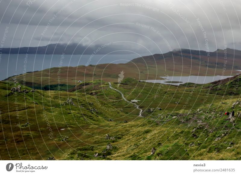 Isle of Skye Umwelt Natur Landschaft schlechtes Wetter Grünpflanze Wiese grün Ferne Schottland Insel Ferien & Urlaub & Reisen reisend aufsteigen wandern