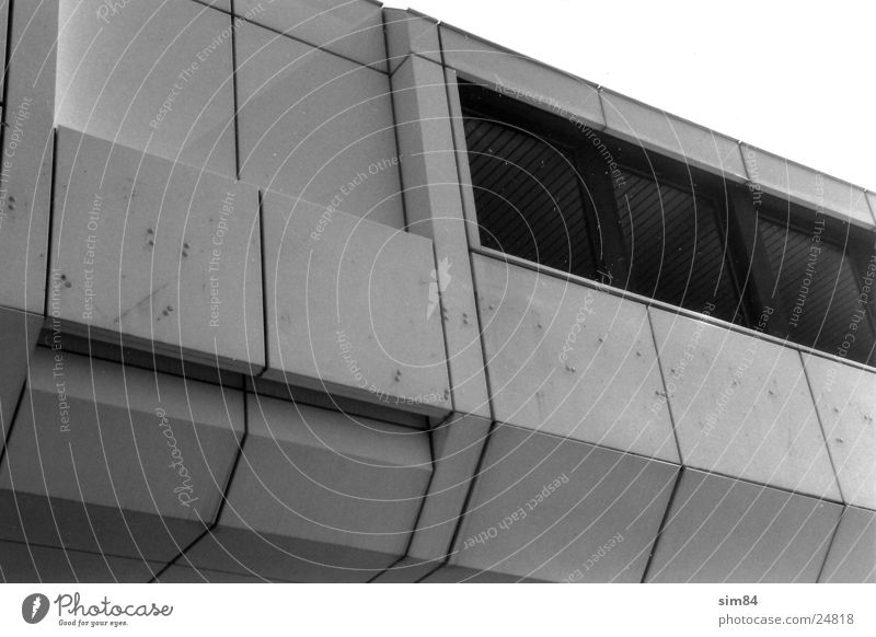 Beutelratte Gebäude Fenster Architektur Schwarzweißfoto modern