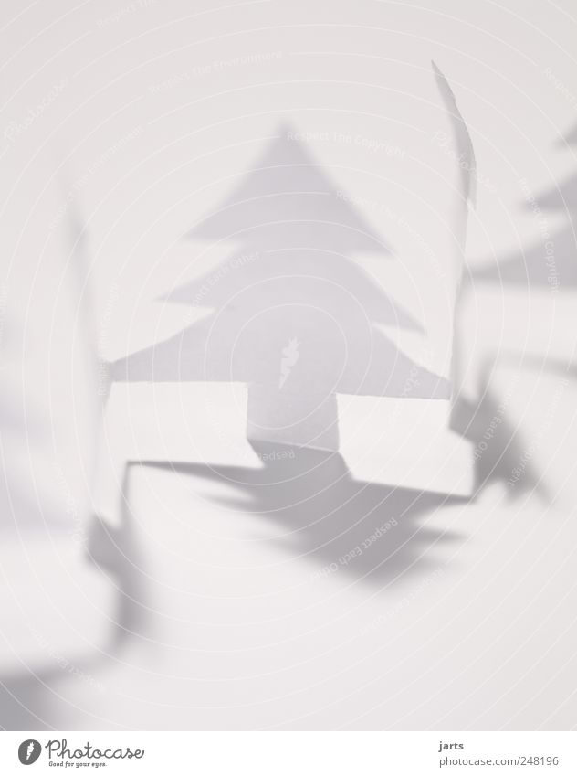 weiße weihnacht Winter Fröhlichkeit Vorfreude Hoffnung Glaube Papier Tanne Weihnachtsbaum Weihnachtsdekoration Studioaufnahme Menschenleer Licht Schatten