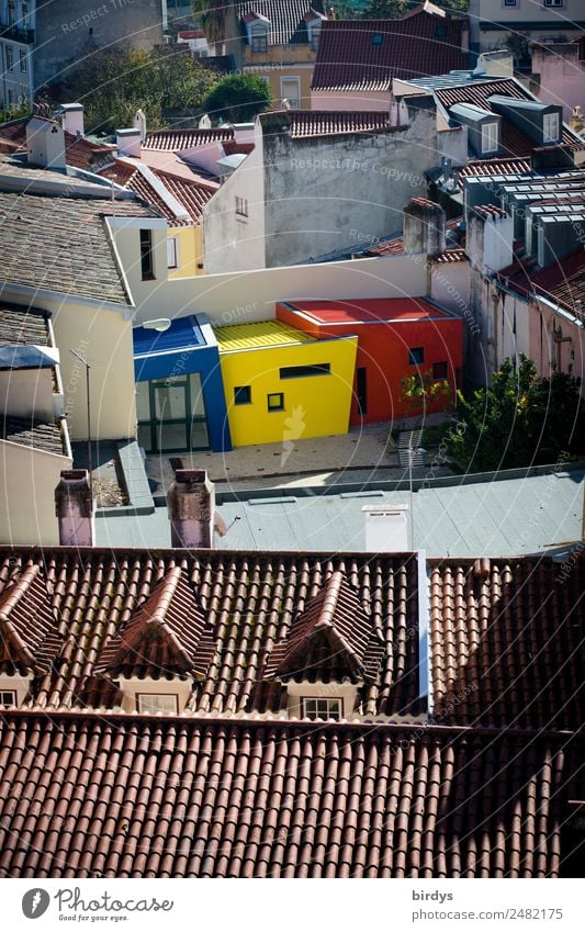 Kreativecke Lissabon Haus Traumhaus Architektur Wohnhaus Mauer Wand Dach außergewöhnlich frisch einzigartig positiv rebellisch Stadt blau braun gelb rot