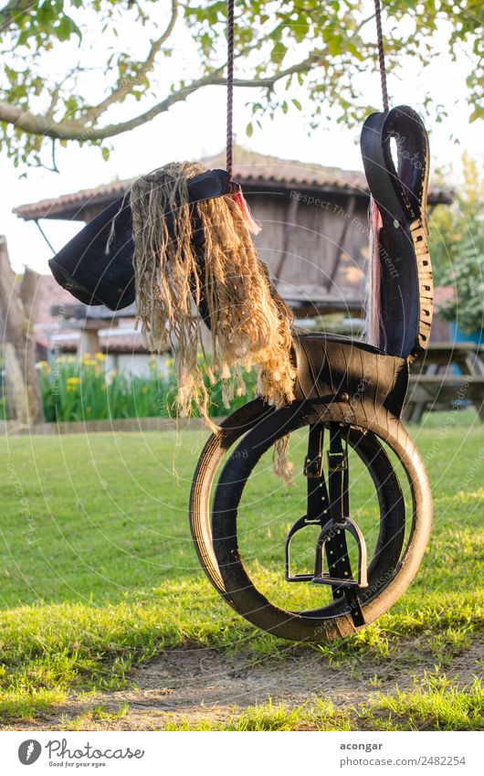 Pferdeförmige Schaukel, hergestellt aus Reifen und Seilen. Spielen Kindheit Natur Spielplatz genießen Fröhlichkeit lustig Schnur leer Gummi Sonnenuntergang