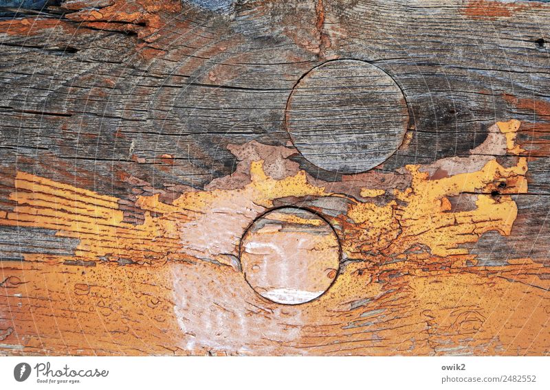 Interstellar Overdrive Kunst Holz alt rund orange bizarr Verfall Vergänglichkeit unklar Kreis Farbstoff Riss abblättern Zahn der Zeit Farbfoto abstrakt
