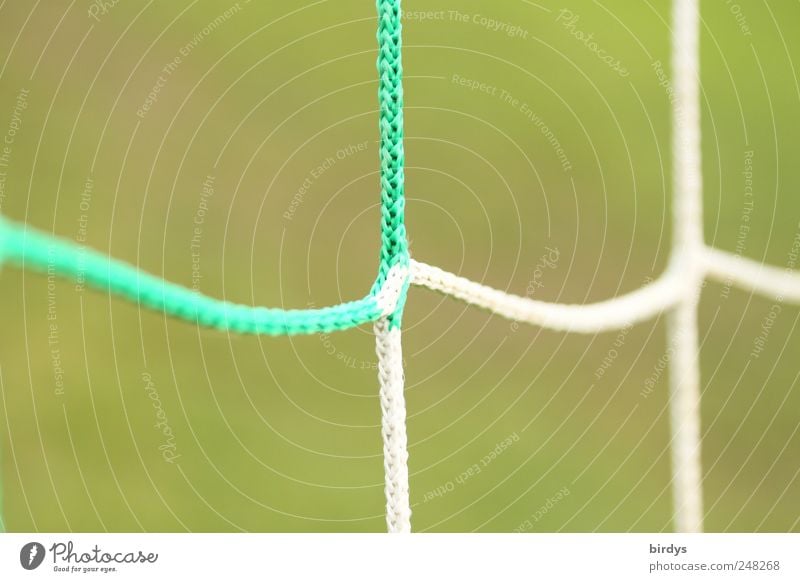 Verknüpfungen Ballsport Sportstätten Netz ästhetisch grün weiß Netzwerk Symmetrie Synthese Fußballtor Verbundenheit Schnur gespleist Linie verknüpft Masche