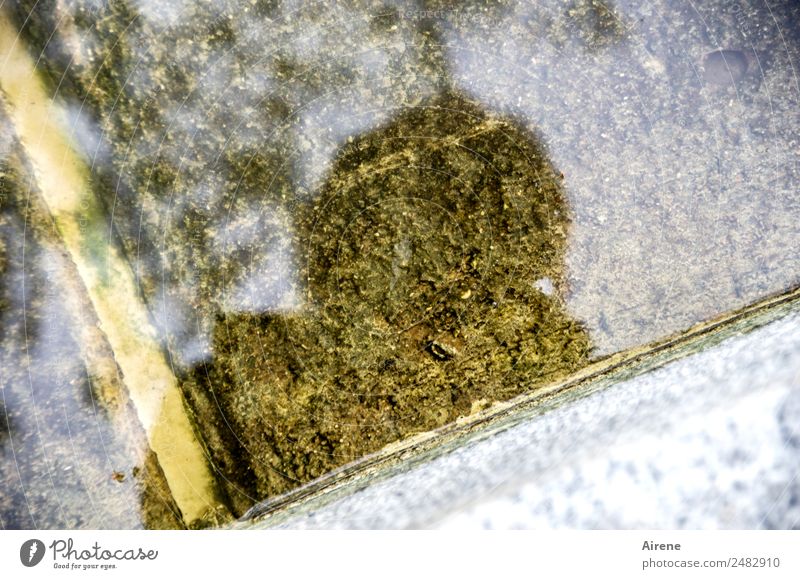 Kurioses | Selfie am Brunnenrand Kopf 1 Mensch Wasser bedrohlich dunkel gruselig braun grau geheimnisvoll unerkannt Gedeckte Farben Außenaufnahme