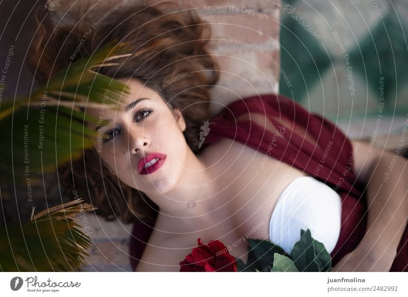 Porträt einer Frau mit roter Blume Stil schön Gesicht Schminke Lippenstift Erwachsene 18-30 Jahre Jugendliche Garten Mode Kleid schwarzhaarig brünett weiß