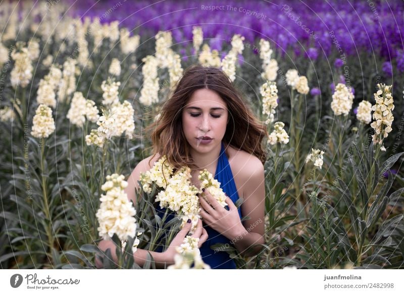 Frau, die im Feld der weißen Blumen posiert. Lifestyle Glück schön Freiheit Sommer Garten Mensch feminin Erwachsene 18-30 Jahre Jugendliche Natur Mode Kleid