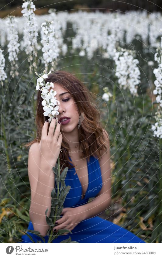 Frau, die im Feld der weißen Blumen posiert. Lifestyle Glück schön Freiheit Sommer Garten Mensch Erwachsene 18-30 Jahre Jugendliche Natur Mode Kleid Lächeln