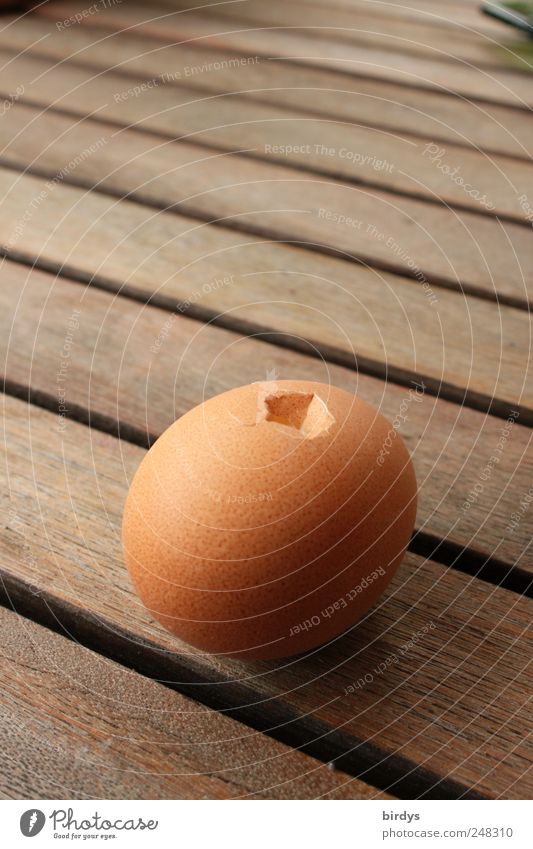 Angepickt Ei Ernährung liegen achtsam Zerstörung Eierschale Holztisch Loch beschädigt rohes Ei Fuge Fortpflanzung Hühnerei Foodfotografie Farbfoto Außenaufnahme