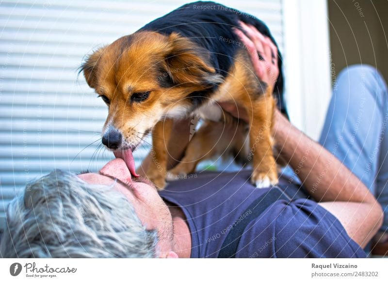 Ein Hund leckt das Gesicht seines Besitzers. Lifestyle Wellness Mensch maskulin Mann Erwachsene Kopf 1 30-45 Jahre Tier Haustier Küssen liegen Zusammensein blau