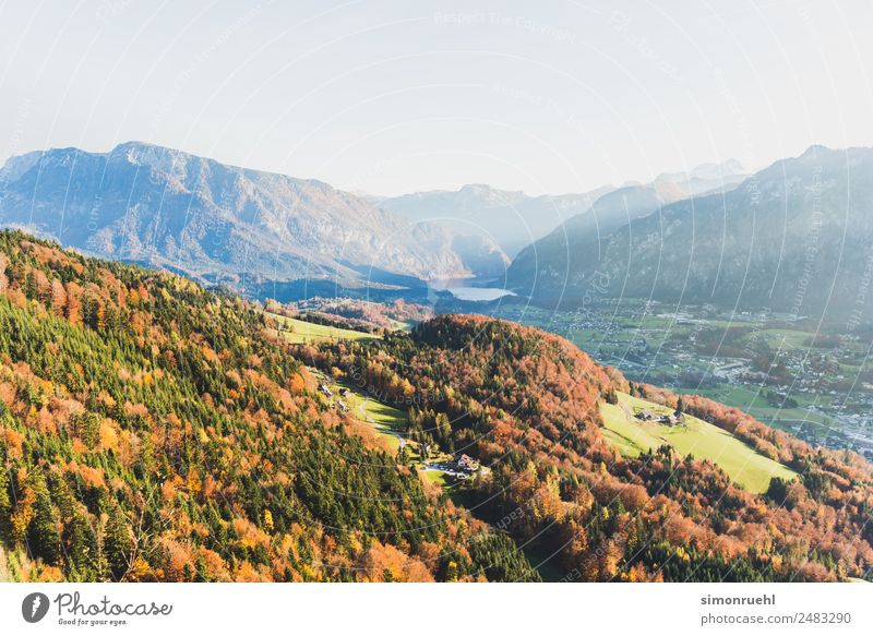 Austrian Autumn Natur Wolkenloser Himmel Horizont Sonnenlicht Herbst Schönes Wetter Baum Wald Hügel Alpen Berge u. Gebirge See Österreich Wolfgangsee Dorf