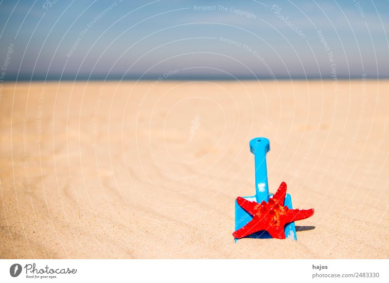 Schaufel und Seestern am Strand Freude Erholung Ferien & Urlaub & Reisen Sommer Kind Sand Tier 1 blau gelb rot Tourismus Kinderspiel sandeln Sandstrand Meer