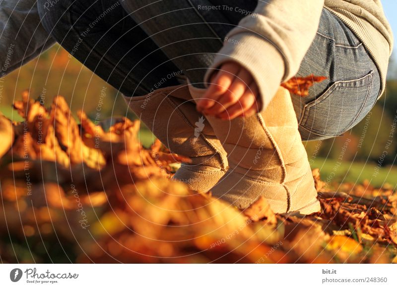den Herbst packen Beine Fuß 1 Mensch Umwelt Natur Pflanze Klima Schönes Wetter Wiese Jeanshose Stiefel hocken knien Spielen braun Freude Lebensfreude Aktion