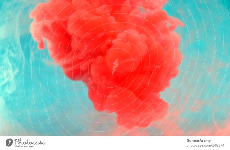 Rote Wolke Kunst ästhetisch außergewöhnlich Flüssigkeit wild rot Zufriedenheit bizarr Idee Farbfoto Studioaufnahme Unterwasseraufnahme Experiment abstrakt