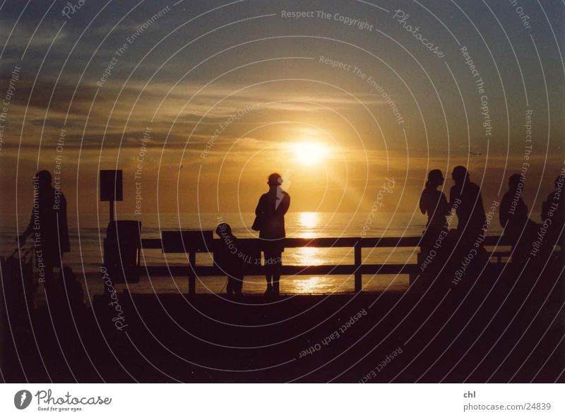 Silhouetten im Sonnenuntergang Strand Meer Mensch Leben Abend Licht Menschengruppe mehrere genießen Erholung Zaun Gegenlicht Himmel sprechen Zusammensein