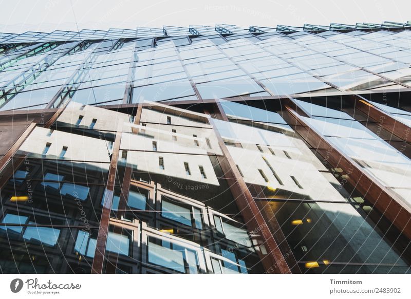 Fassaden Niederlande Stadt Hochhaus Architektur Holz Glas Metall ästhetisch blau braun gelb Fenster Doppelbelichtung Farbfoto Außenaufnahme Menschenleer Tag