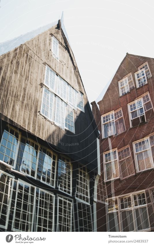 Fassaden (2) Niederlande Stadt Haus Holz Glas blau braun weiß Fenster Sprossenfenster Doppelbelichtung Backstein Farbfoto Außenaufnahme Menschenleer Tag