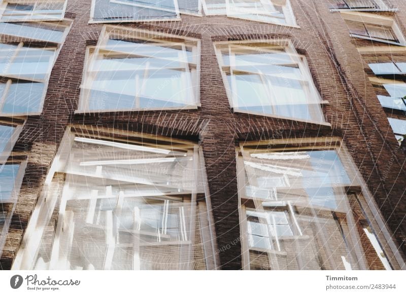 Fassaden (6) Niederlande Stadt Haus Mauer Wand Fenster Stein Glas ästhetisch blau braun weiß Doppelbelichtung Reflexion & Spiegelung Kreuz Linie Farbfoto