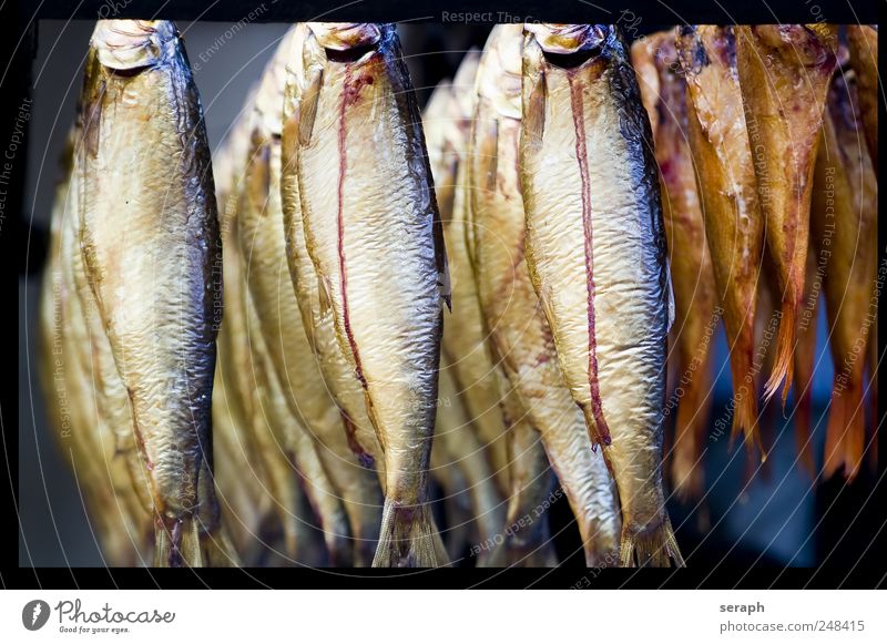 Fische Räucherfisch Ernährung Lebensmittel geräuchert abgehängt Rahmen Erholung Fischereiwirtschaft Menschenmenge aufgehängt Markt Marktstand Preserve