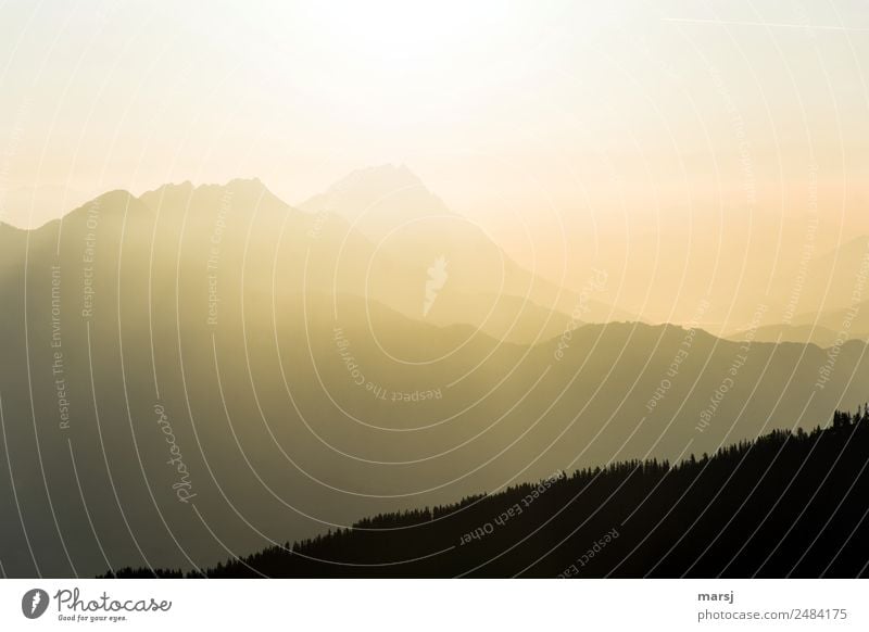 Eine neue Woche Leben harmonisch Sinnesorgane ruhig Meditation Natur Sonnenaufgang Sonnenuntergang Sonnenlicht Schönes Wetter Alpen Berge u. Gebirge