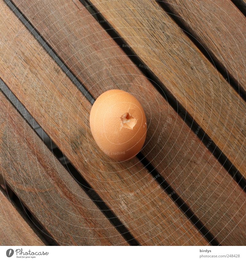 Angedätscht Ei Ernährung Holz liegen authentisch kaputt Schutz Symmetrie Zerstörung Eierschale Loch 1 anonym Holztisch Fuge parallel Oval beschädigt sensibel