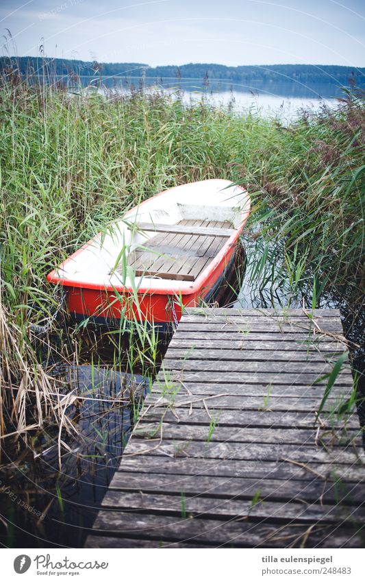 love boat Ferien & Urlaub & Reisen Natur Wasser Sommer Pflanze See Ruderboot blau grün rot ruhig Wasserfahrzeug Steg Holzbrett Schilfrohr Horizont