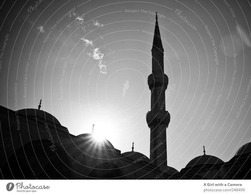 love Istanbul Himmel Türkei Stadt Turm Bauwerk Gebäude Architektur Moschee Dach Kuppeldach Sehenswürdigkeit Blaue Moschee leuchten alt authentisch