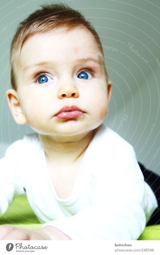 träumerle Mensch maskulin Kind Baby Kleinkind Junge Kopf Haare & Frisuren Gesicht Auge Ohr Nase Mund Lippen 0-12 Monate Glück Sicherheit Schutz Geborgenheit
