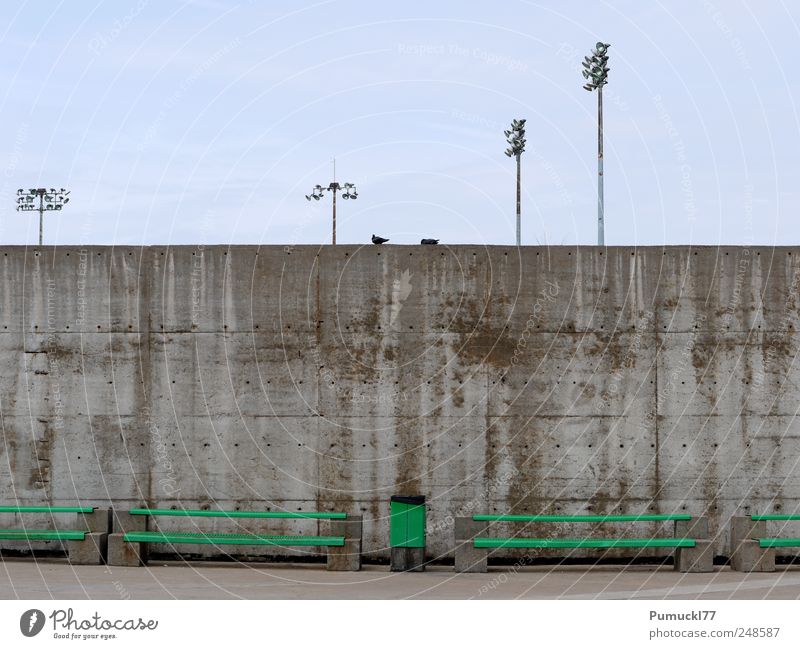 Zweisam einsam Himmel Montréal Menschenleer Mauer Wand Bank Müllbehälter Laternenpfahl Taube 2 Tier Beton Metall blau grau grün Einsamkeit Langeweile