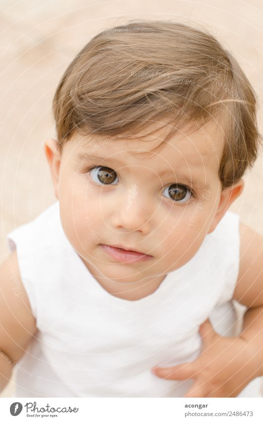 Porträt eines süßen kleinen Babys Glück schön Gesicht Kind feminin Kindheit Hand 1 Mensch 1-3 Jahre Kleinkind weiß Kaukasier Auge Mädchen Overhead Menschen