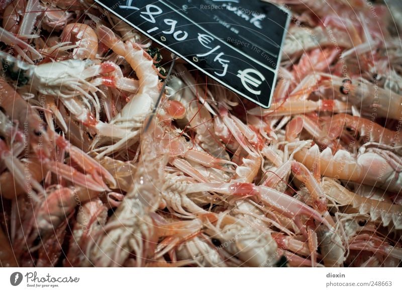 fangfrisch Lebensmittel Meeresfrüchte Ernährung Languste Garnelen Krustentier Protein Delikatesse Fischmarkt Tier Totes Tier Tiergruppe Schwarm Preisschild