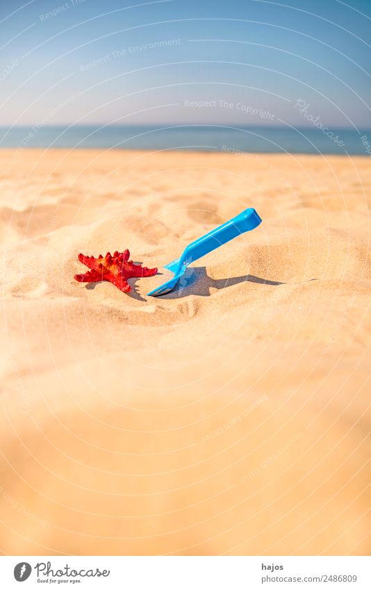 Schaufel und Seestern am Strand Freude Erholung Ferien & Urlaub & Reisen Sommer Kind Sand Tier blau gelb rot Tourismus Kinderspielzeug sandeln Himmel Meer Sonne