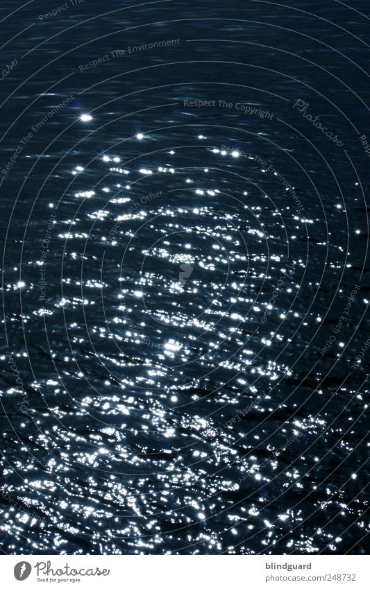 A Million Suns Wasser Schönes Wetter Teich See Bach Fluss glänzend dunkel frisch blau schwarz weiß Wellen Farbfoto Außenaufnahme Experiment Menschenleer Tag