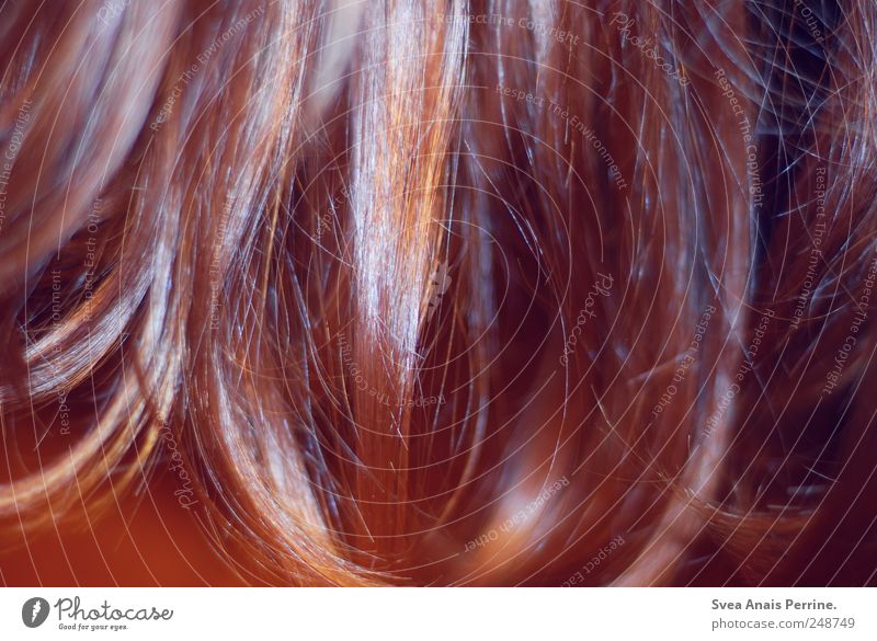 trashair. Haare & Frisuren brünett rothaarig langhaarig trashig Haarsträhne Haarschopf Farbfoto Detailaufnahme Kunstlicht Blitzlichtaufnahme Kontrast