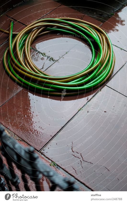 nass Wasser schlechtes Wetter Regen grün rot Kreis Tube Farbfoto Außenaufnahme abstrakt Muster Strukturen & Formen Tag