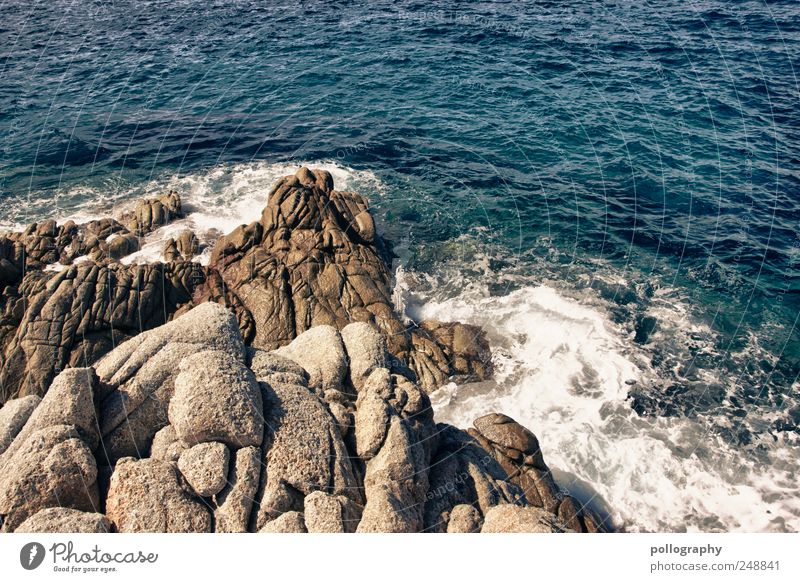 Brandung Natur Wasser Sommer Schönes Wetter Wind Felsen Bucht Meer Insel Elba Italien Stein atmen Schwimmen & Baden Erholung Ferien & Urlaub & Reisen träumen