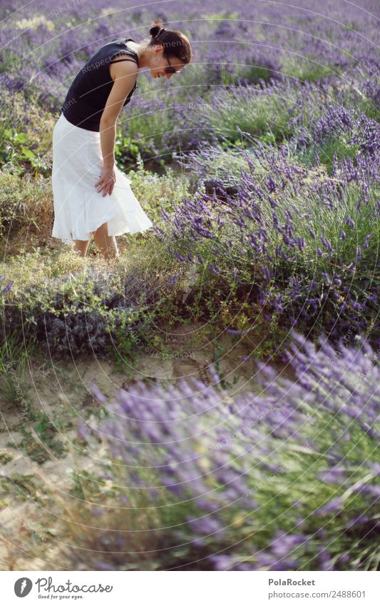 #A# Im Lavendel Umwelt Natur Landschaft Pflanze ästhetisch violett Lavendelfeld Lavendelernte Frau Feld laufen Außenaufnahme Spaziergang Idylle Frankreich