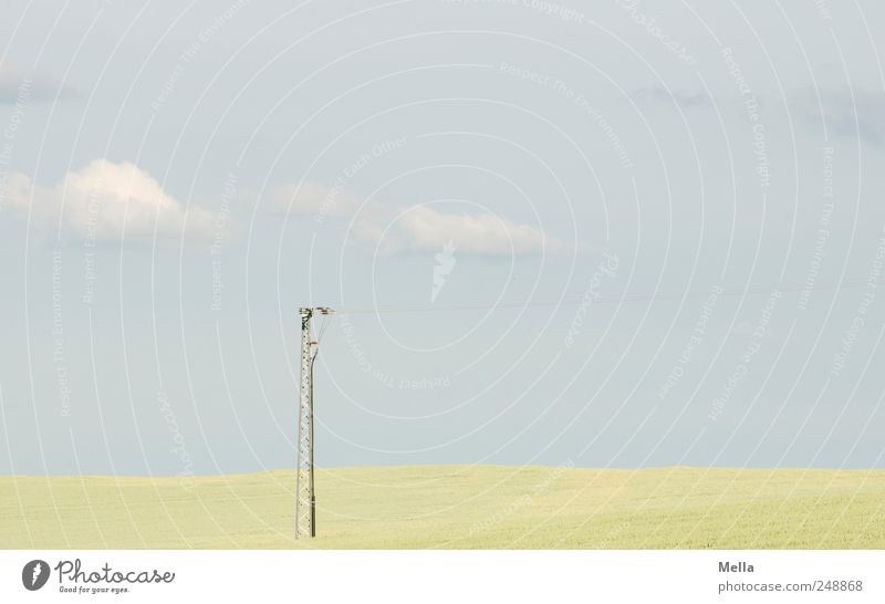 Land Strommast Telefonmast Sendemast Umwelt Natur Landschaft Wolken Feld Horizont modern Ferne Landwirtschaft Ackerbau Farbfoto Außenaufnahme Menschenleer