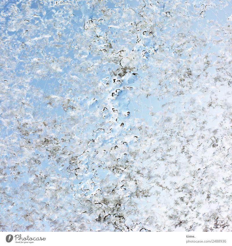 Emotion | jedes Jahr der erste Schnee Kunstwerk Wassertropfen Himmel Winter Schönes Wetter Glasscheibe authentisch kalt nass blau Begeisterung Leben Gefühle