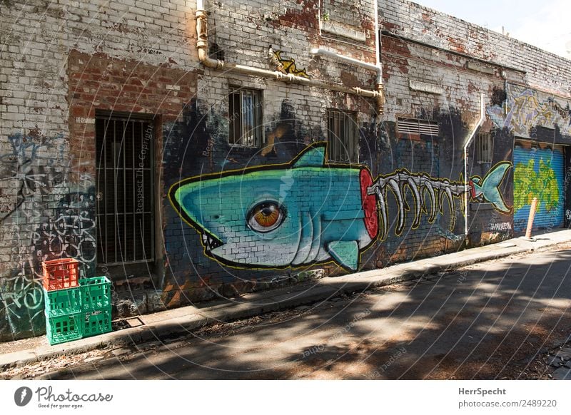 Fish Alley Haus Bauwerk Gebäude Mauer Wand Tür Fisch Haifisch 1 Tier Graffiti ästhetisch außergewöhnlich groß trashig trist Stadt Kreativität Backsteinwand