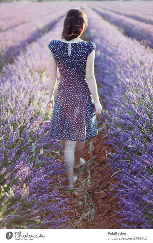 #A# Lavendel Spaziergang Kunst ästhetisch einzigartig elegant Erholung Frieden Gelassenheit Lavendelfeld Lavendelernte Model Photo-Shooting Modellfigur Kleid