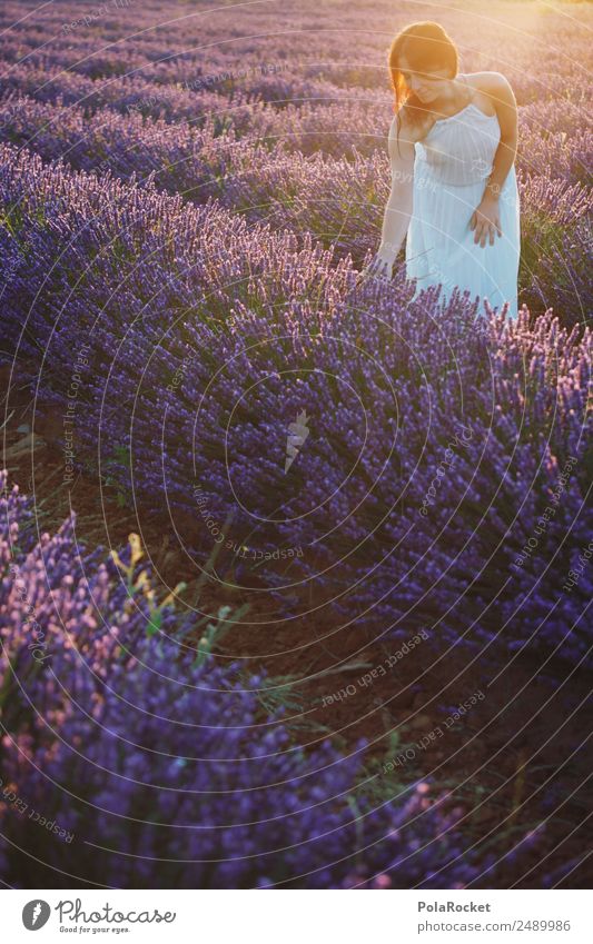 #A# Morgensonnen-Lavendel 1 Mensch ästhetisch Lavendelfeld Lavendelernte Sonnenstrahlen Sonnenaufgang Kleid Feld Blühend Blühende Landschaften Romantik Frau