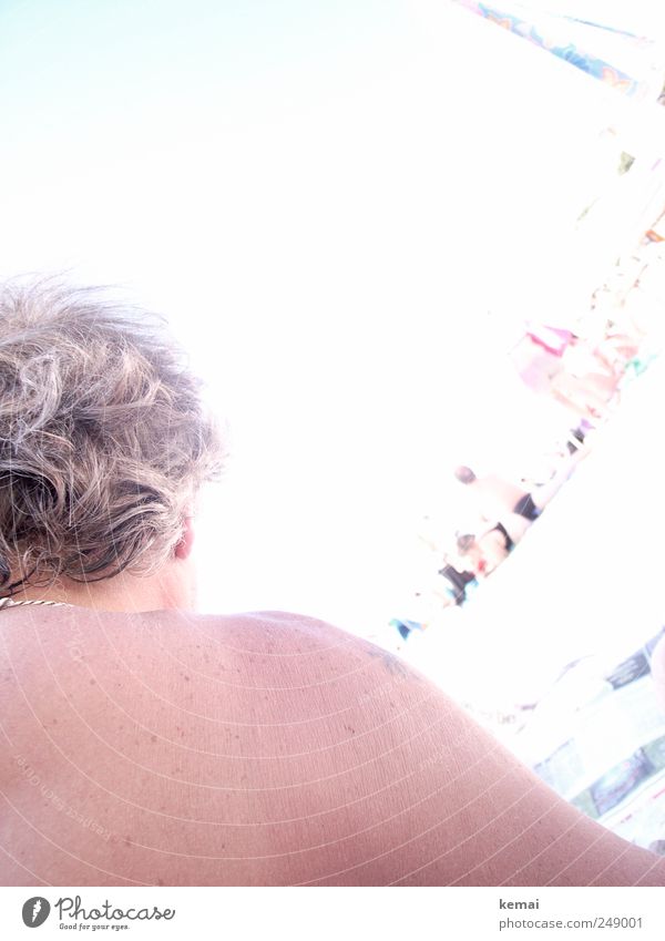 Am Strand liegen Freizeit & Hobby Ferien & Urlaub & Reisen Sommer Sommerurlaub Sonnenbad Mensch maskulin Mann Erwachsene Leben Haut Schulter Rücken 1