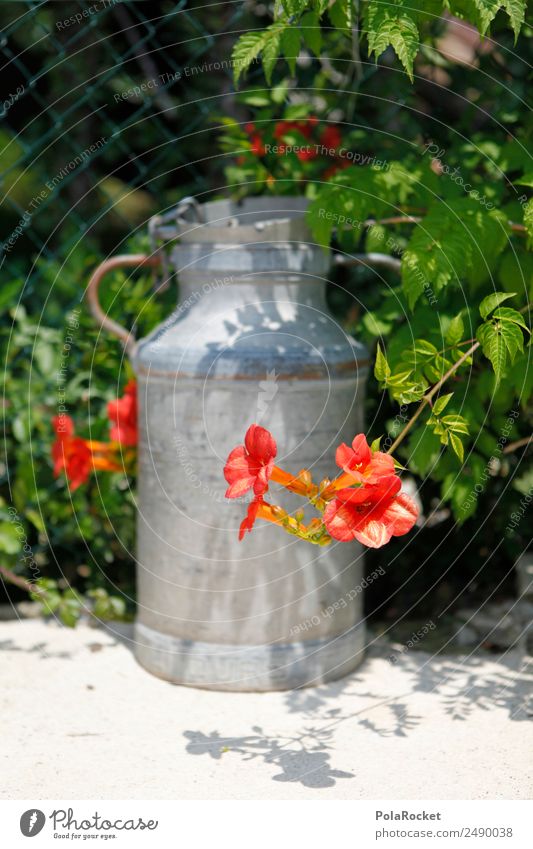 #A# Gartenideen ästhetisch Milchkanne Gartenpflanzen Gartenzaun Gartenmöbel Blume Farbfoto mehrfarbig Außenaufnahme Detailaufnahme Experiment abstrakt