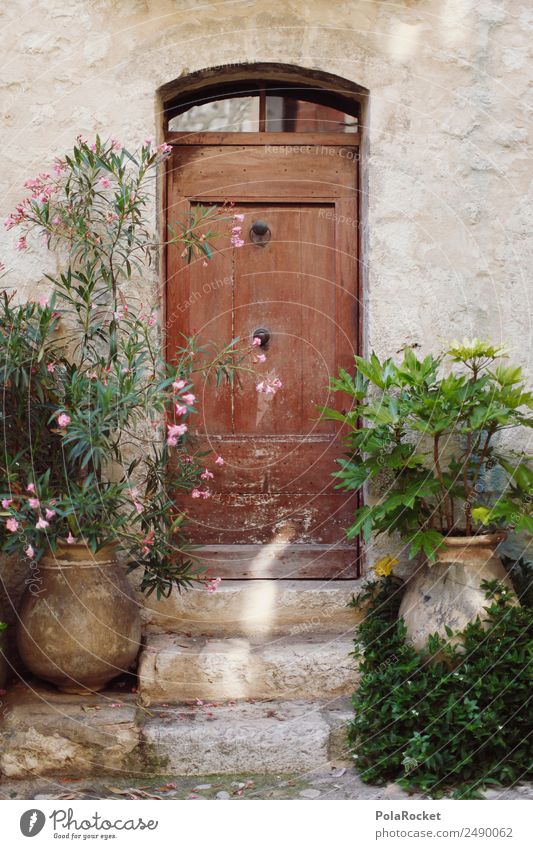 #A# Hintertür Umwelt Schönes Wetter Garten ästhetisch Tür Holztür Türschloss Türrahmen Türklopfer Pflanze mediterran Frankreich Provence Farbfoto