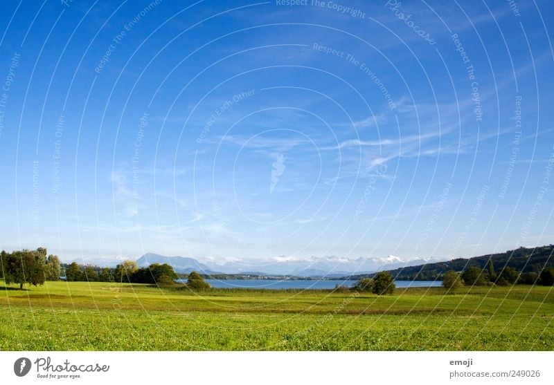 Feld, See, Alpen Natur Landschaft Wolkenloser Himmel Sommer Schönes Wetter Wiese Seeufer natürlich blau grün Freiheit Ferne Schweiz Farbfoto Außenaufnahme